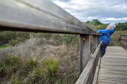 3-year-old boy climbing over the railing of a wooden bridge. Physical exercise in nature for kids concept