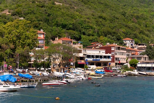 View from Bosphorus strait of the green mountains of the Europian side, with docked boats, traditional houses and dense trees in a summer day, Istanbul, Turkey