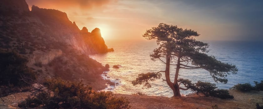 Seascape at sunset. Amazing tree, a mountain, a bright saturated sky, the sun with rays setting behind the mountain. Nature background