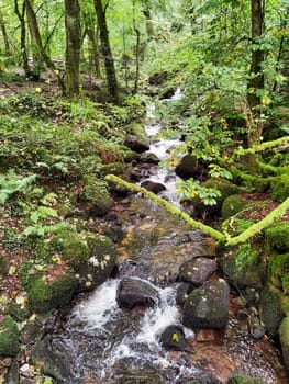 Kennall River in Kennall Vale Nature Reserve, Ponsanooth, Cornwall, United Kingdom