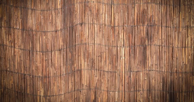 The reed wall background texture. Looks like bamboo. Close up