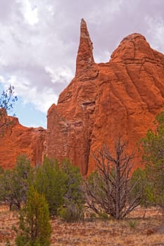 Dramatic Spires in the Desert in Kodachrome Basin State Park in Utah