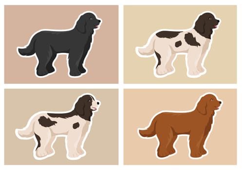 Newfoundland Dog Animals with Black, Brown or Landseer Color in Flat Style Cute Cartoon Template Hand Drawn Illustration