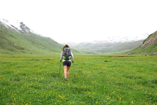 Back view of a hiker walking in a green valley a foggy day