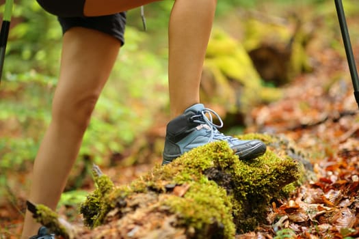 Close up of a hiker legs walking in a forest