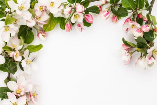 Pear flowers frame on a white background. Greeting card