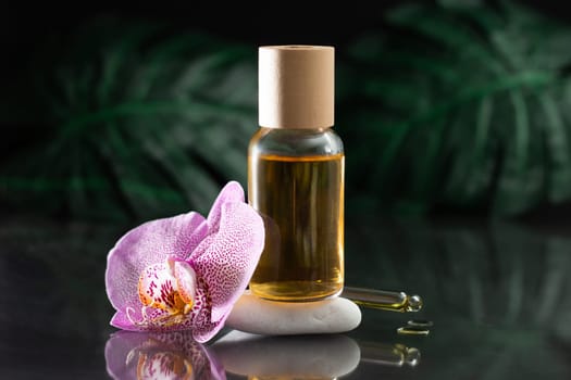 Beautiful lilac orchid flower and clear glass bottle of yellow oil standing on white stone with dropper or pipette and oil drops, with monstera leaves on black reflective surface