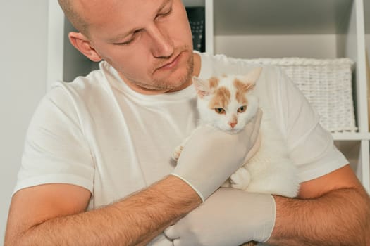 Male veterinarian in gloves and T-shirt holds white and ginger kitten in his arms for medical examination