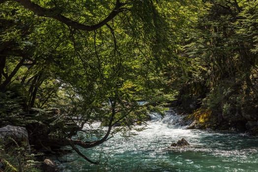 small waterfall in Los Glaciares National Park in Argentina