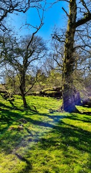Ruined Dinefwr (Dynevor) Castle overlooking the River Tywi - Llandeilo, Carmarthenshire, Wales, United Kingdom