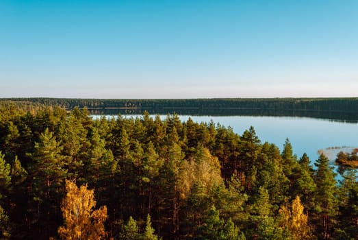 View of the coniferous treetops and Lake Baltieji Lakajai in Labanoras Regional Park, Lithuania