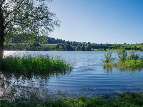 Landscape view of the Lake Gruenten with increased water level in summer with backlight.