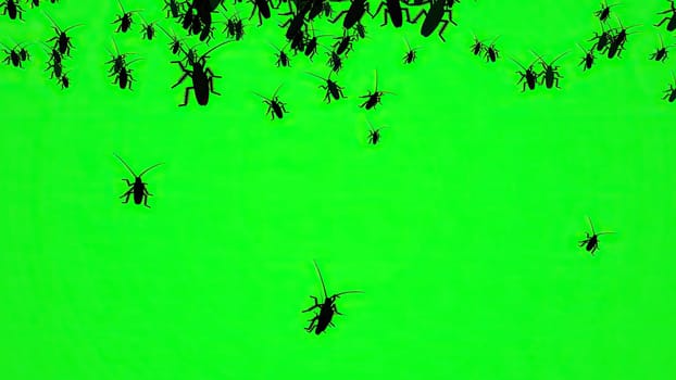 Bugs On Green Screen Silhouette,Bugs On Green Screen Silhouette
