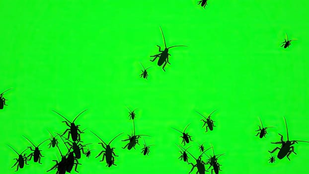 Bugs On Green Screen Silhouette,Bugs On Green Screen Silhouette