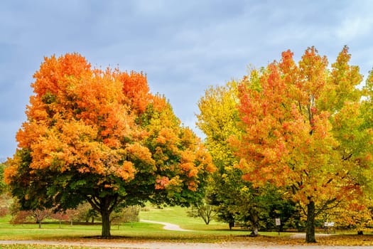 Scenic view of trees in full autumn color in Arboretum in Lexington, Kentucky