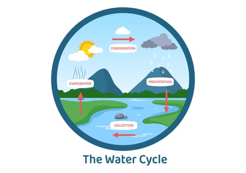 Water Cycle of Evaporation, Condensation, Precipitation to Collection in Earth natural environment on Flat Cartoon Hand Drawn Template Illustration