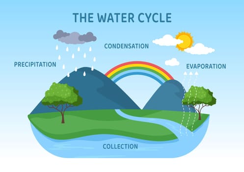 Water Cycle of Evaporation, Condensation, Precipitation to Collection in Earth natural environment on Flat Cartoon Hand Drawn Template Illustration
