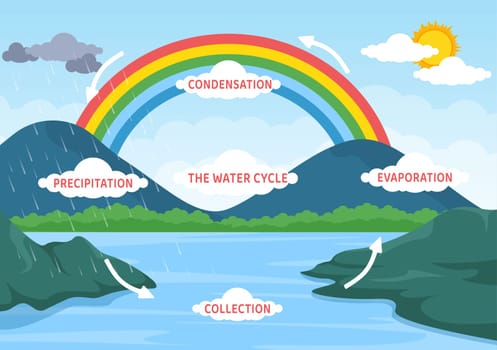 Water Cycle of Evaporation, Condensation, Precipitation to Collection in Earth natural environment on Flat Cartoon Hand Drawn Template Illustration