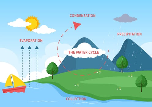 Water Cycle of Evaporation, Condensation, Precipitation to Collection in Earth natural environment on Flat Cartoon Hand Drawn Template Illustration