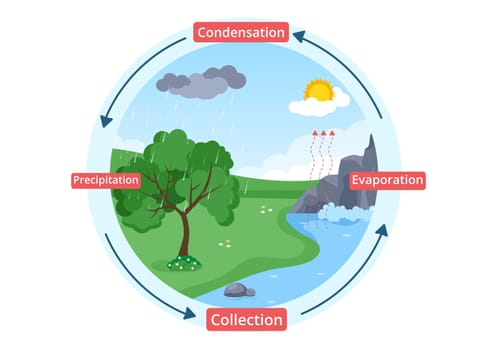 Water Cycle of Evaporation, Condensation, Precipitation to Collection in Earth natural environment on Flat Cartoon Hand Drawn Template Illustration