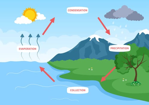 Water Cycle of Evaporation, Condensation, Precipitation to Collection in Earth natural environment on Flat Cartoon Hand Drawn Template Illustration