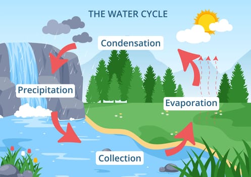 Water Cycle of Evaporation, Condensation, Precipitation to Collection in Earth natural environment on Flat Cartoon Hand Drawn Template Illustration