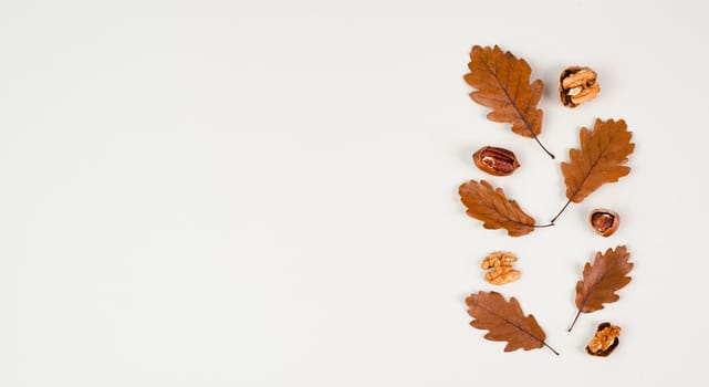 Autumn season background, frame with colorful foliage, brown oak leaves and nuts, greeting card