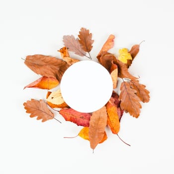 Autumn season background, frame with colorful foliage, brown, red and yellow leaves, greeting card