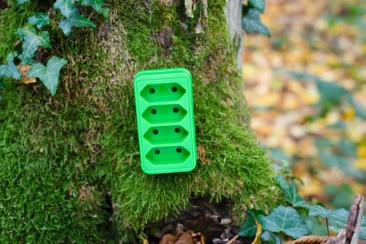 Green electricity socket on a tree trunk, substainable renewable energy, csr concept, environment protection, eco technology
