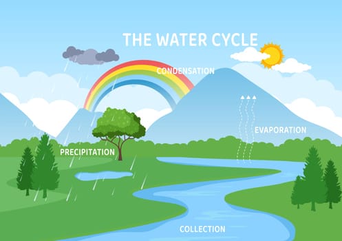Water Cycle of Evaporation, Condensation, Precipitation to Collection in Earth natural environment on Flat Cartoon Hand Drawn Template Illustration