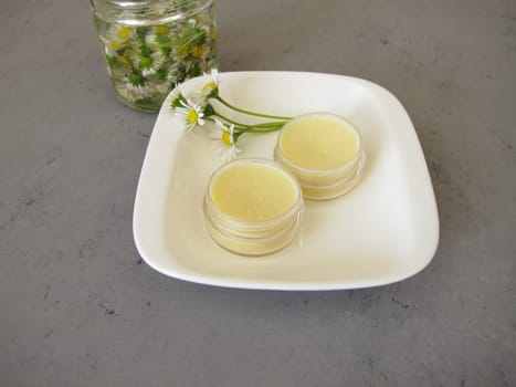 Homemade daisy ointment with daisy extract in a small jar