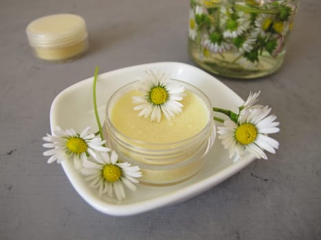 Homemade daisy ointment with daisy extract in a small jar