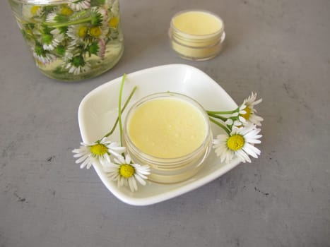 Homemade daisy ointment with daisy extract in a small jar