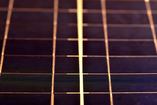 Solar panel in a closeup