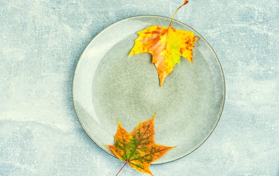 Fallen autumn leaves, herbarium on the plate