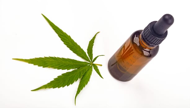 Cannabis oil hemp oil with fresh cannabis leaf on bright background