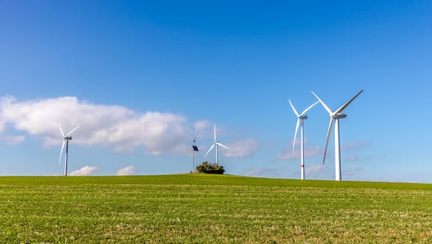 Three windmills generator with meadow on a sunny day