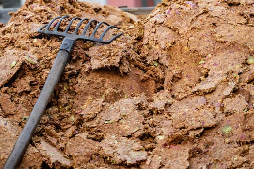 Pressed apple pomace with an agricultural fork in detail
