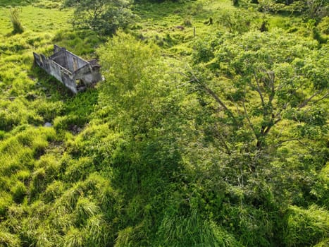 Aerial view green rural bush with abandoned building in sunny day