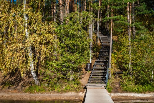Wooden staircase in the middle of the forest on the shore of Lake Baltieji Lakajai in Labanoras Regional Park, Lithuania.