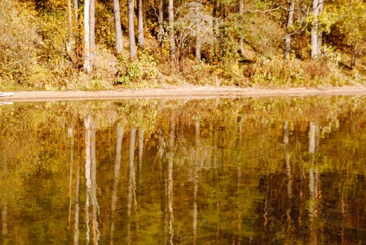 The trunks of autumn trees are reflected in the water of Lake Baltieji Lakajai in Labanoras Regional Park, Lithuania.