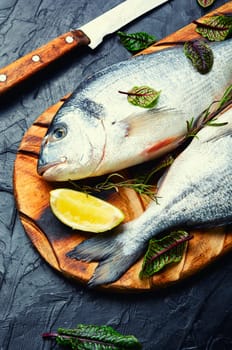 Fresh raw dorado fish for cooking on a plate. Seafood