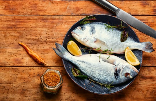 Fresh raw dorado fish for cooking on a plate. Seafood