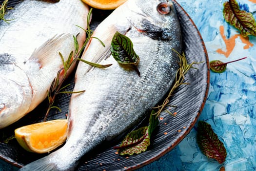 Fresh raw dorado fish for cooking on a plate. Seafood