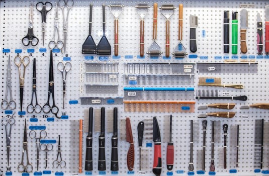 Merida, Spain - Oct 23th, 2022: Dog hair care tools for sell at exhibition enclosure. Canine International Exhibition
