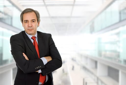 mature business man portrait at the office