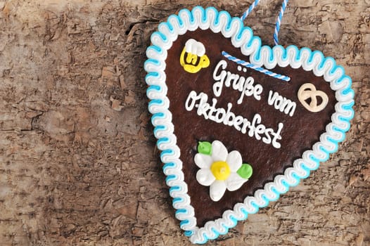 original Bavarian Oktoberfest gingerbread heart on real brown tree bark