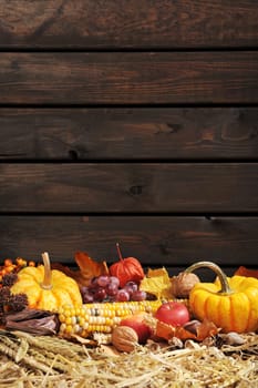 Thanksgiving - fruit and vegetables on straw in front of an old weathered wooden wall with text space