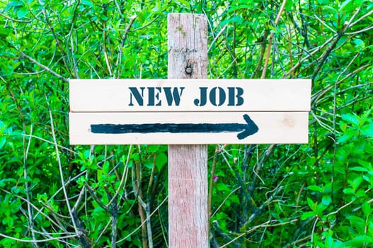 NEW JOB written on Directional wooden sign with arrow pointing to the right against green leaves background. Concept image with available copy space