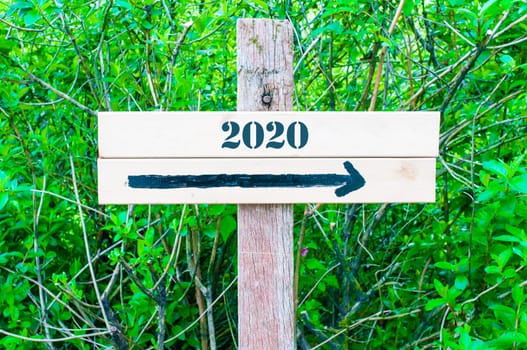 YEAR 2020  written on Directional wooden sign with arrow pointing to the right against green leaves background. Concept image with available copy space